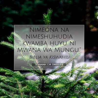 Picture 07 - Yohana 1:34 SWHULB - Nimeona na nimeshuhudia kwamba huyu ni Mwana wa - Bible Verse Picture