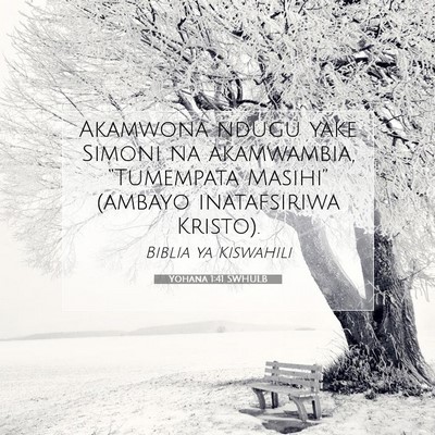 Picture 07 - Yohana 1:41 SWHULB - Akamwona ndugu yake Simoni na akamwambia, - Bible Verse Picture
