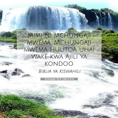 Picture 07 - Yohana 10:11 SWHULB - Mimi ni mchungaji mwema. Mchungaji mwema huutoa - Bible Verse Picture