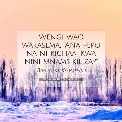 Picture 07 - Yohana 10:20 SWHULB - Wengi wao wakasema, “Ana pepo na ni kichaa. Kwa - Bible Verse Picture