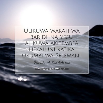 Picture 07 - Yohana 10:23 SWHULB - Ulikuwa wakati wa baridi, na Yesu alikuwa - Bible Verse Picture