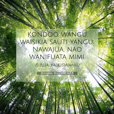 Picture 07 - Yohana 10:27 SWHULB - Kondoo wangu waisikia sauti yangu; Nawajua, nao - Bible Verse Picture