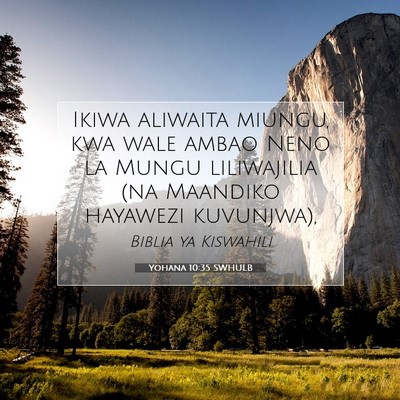 Picture 07 - Yohana 10:35 SWHULB - Ikiwa aliwaita miungu, kwa wale ambao Neno la - Bible Verse Picture