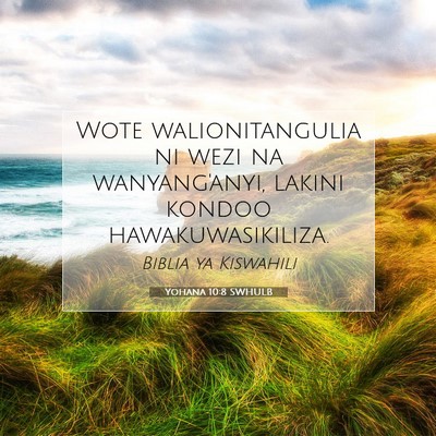 Picture 07 - Yohana 10:8 SWHULB - Wote walionitangulia ni wezi na wanyang'anyi, - Bible Verse Picture