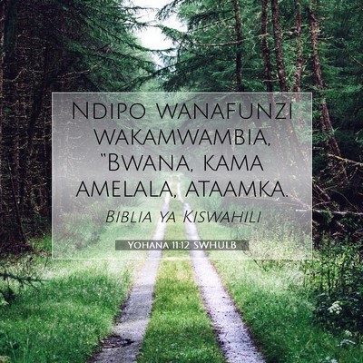Picture 07 - Yohana 11:12 SWHULB - Ndipo wanafunzi wakamwambia, “Bwana, kama - Bible Verse Picture