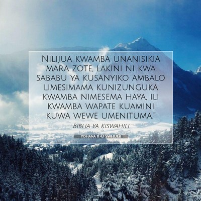 Picture 07 - Yohana 11:42 SWHULB - Nilijua kwamba unanisikia mara zote, lakini ni - Bible Verse Picture