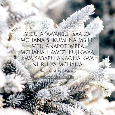 Picture 07 - Yohana 11:9 SWHULB - Yesu akawajibu, “Saa za mchana si kumi na - Bible Verse Picture