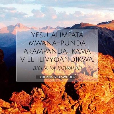 Picture 07 - Yohana 12:14 SWHULB - Yesu alimpata mwana-punda akampanda; kama vile - Bible Verse Picture