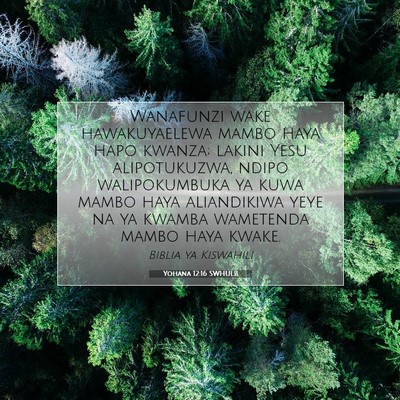 Picture 07 - Yohana 12:16 SWHULB - Wanafunzi wake hawakuyaelewa mambo haya hapo - Bible Verse Picture