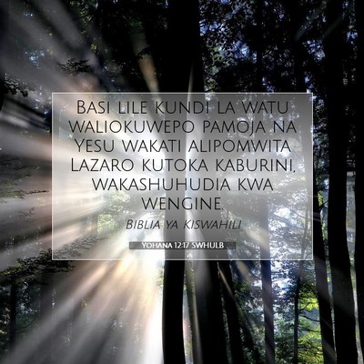 Picture 07 - Yohana 12:17 SWHULB - Basi lile kundi la watu waliokuwepo pamoja na - Bible Verse Picture