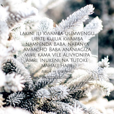 Picture 07 - Yohana 14:31 SWHULB - lakini ili kwamba ulimwengu upate kujua kwamba - Bible Verse Picture