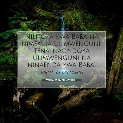 Picture 07 - Yohana 16:28 SWHULB - Nilitoka kwa Baba na nimekuja ulimwenguni; tena, - Bible Verse Picture