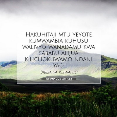 Picture 07 - Yohana 2:25 SWHULB - Hakuhitaji mtu yeyote kumwambia kuhusu walivyo - Bible Verse Picture
