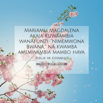 Picture 07 - Yohana 20:18 SWHULB - Mariamu Magdalena akaja kuwaambia wanafunzi, - Bible Verse Picture