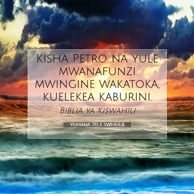 Picture 07 - Yohana 20:3 SWHULB - Kisha Petro na yule mwanafunzi mwingine wakatoka, - Bible Verse Picture