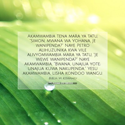 Picture 07 - Yohana 21:17 SWHULB - Akamwambia tena mara ya tatu, “Simon, mwana wa - Bible Verse Picture