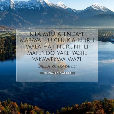Picture 07 - Yohana 3:20 SWHULB - kila mtu atendaye mabaya huichukia nuru wala haji - Bible Verse Picture