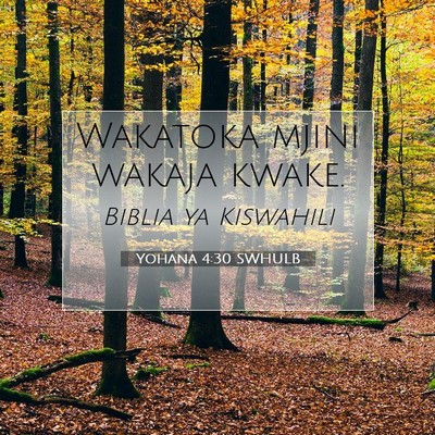Picture 07 - Yohana 4:30 SWHULB - Wakatoka mjini wakaja - Bible Verse Picture