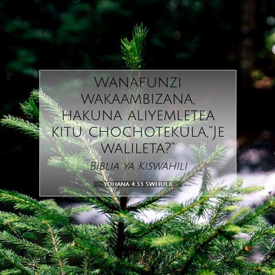 Picture 07 - Yohana 4:33 SWHULB - Wanafunzi wakaambizana, hakuna aliyemletea kitu - Bible Verse Picture