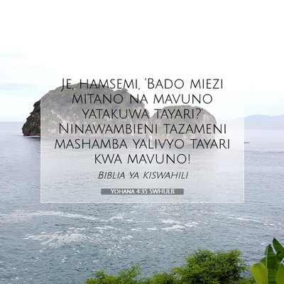 Picture 07 - Yohana 4:35 SWHULB - Je, hamsemi, 'Bado miezi mitano na mavuno - Bible Verse Picture