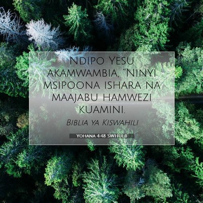 Picture 07 - Yohana 4:48 SWHULB - Ndipo Yesu akamwambia, “Ninyi msipoona ishara - Bible Verse Picture