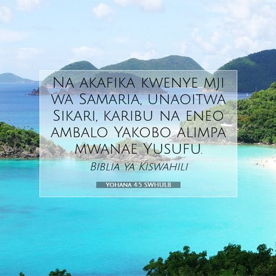 Picture 07 - Yohana 4:5 SWHULB - Na akafika kwenye mji wa Samaria, unaoitwa - Bible Verse Picture