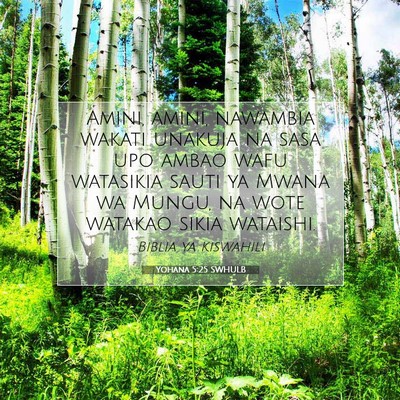 Picture 07 - Yohana 5:25 SWHULB - Amini, amini, nawambia wakati unakuja na sasa upo - Bible Verse Picture