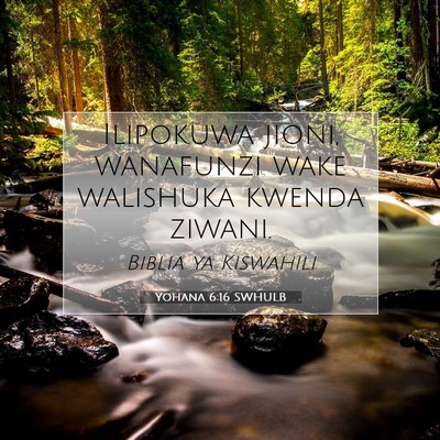 Picture 07 - Yohana 6:16 SWHULB - Ilipokuwa jioni, wanafunzi wake walishuka kwenda - Bible Verse Picture
