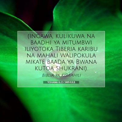 Picture 07 - Yohana 6:23 SWHULB - (Ingawa, kulikuwa na baadhi ya mitumbwi iliyotoka - Bible Verse Picture
