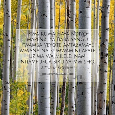 Picture 07 - Yohana 6:40 SWHULB - Kwa kuwa haya ndiyo mapenzi ya Baba yangu, kwamba - Bible Verse Picture