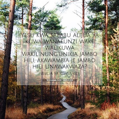 Picture 07 - Yohana 6:61 SWHULB - Yesu kwa sababu alijua ya kuwa wanafunzi wake - Bible Verse Picture