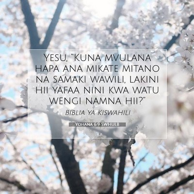 Picture 07 - Yohana 6:9 SWHULB - Yesu, “Kuna mvulana hapa ana mikate mitano na - Bible Verse Picture