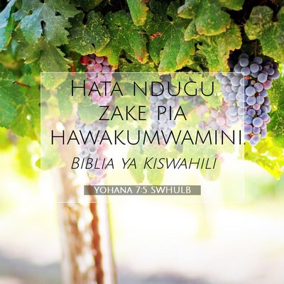 Picture 07 - Yohana 7:5 SWHULB - Hata ndugu zake pia - Bible Verse Picture