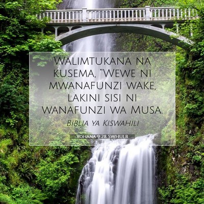 Picture 07 - Yohana 9:28 SWHULB - Walimtukana na kusema, “Wewe ni mwanafunzi - Bible Verse Picture