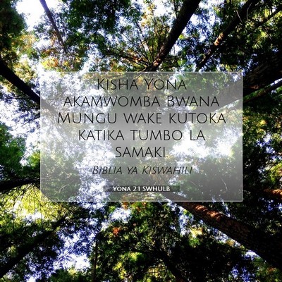 Picture 07 - Yona 2:1 SWHULB - Kisha Yona akamwomba Bwana Mungu wake kutoka - Bible Verse Picture