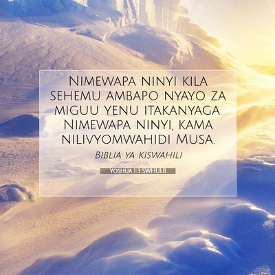 Picture 07 - Yoshua 1:3 SWHULB - Nimewapa ninyi kila sehemu ambapo nyayo za miguu - Bible Verse Picture