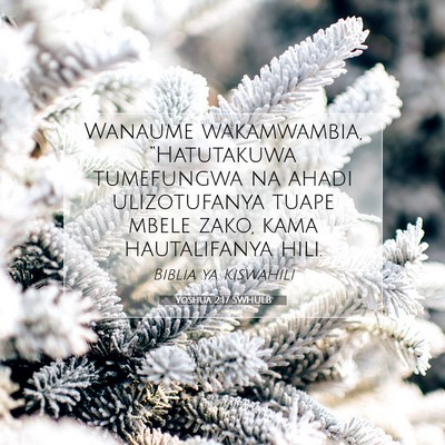 Picture 07 - Yoshua 2:17 SWHULB - Wanaume wakamwambia, “Hatutakuwa tumefungwa na - Bible Verse Picture