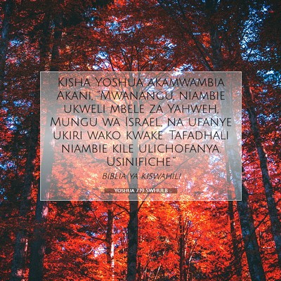 Picture 07 - Yoshua 7:19 SWHULB - Kisha Yoshua akamwambia Akani, “Mwanangu, - Bible Verse Picture