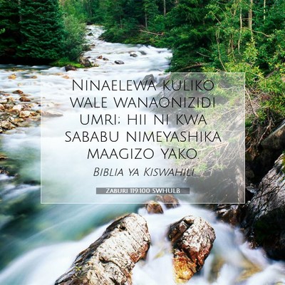 Picture 07 - Zaburi 119:100 SWHULB - Ninaelewa kuliko wale wanaonizidi umri; hii ni - Bible Verse Picture