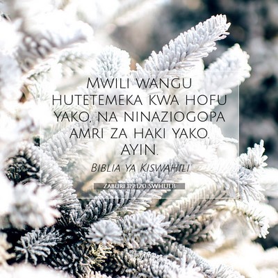 Picture 07 - Zaburi 119:120 SWHULB - Mwili wangu hutetemeka kwa hofu yako, na - Bible Verse Picture