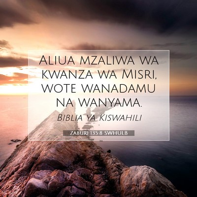 Picture 07 - Zaburi 135:8 SWHULB - Aliua mzaliwa wa kwanza wa Misri, wote wanadamu - Bible Verse Picture
