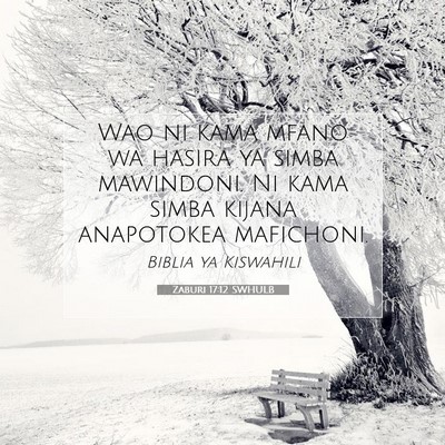 Picture 07 - Zaburi 17:12 SWHULB - Wao ni kama mfano wa hasira ya simba mawindoni. - Bible Verse Picture