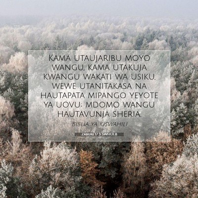 Picture 07 - Zaburi 17:3 SWHULB - Kama utaujaribu moyo wangu, kama utakuja kwangu - Bible Verse Picture