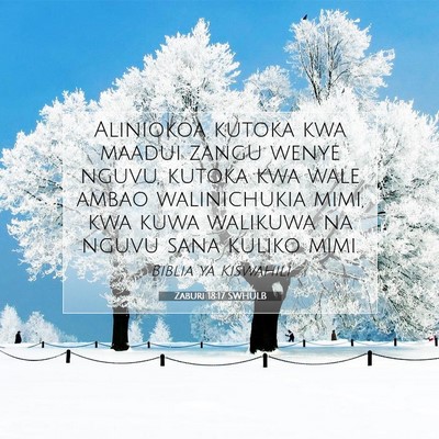 Picture 07 - Zaburi 18:17 SWHULB - Aliniokoa kutoka kwa maadui zangu wenye nguvu, - Bible Verse Picture