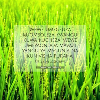 Picture 07 - Zaburi 30:11 SWHULB - Wewe umegeuza kuomboleza kwangu kuwa kucheza; - Bible Verse Picture