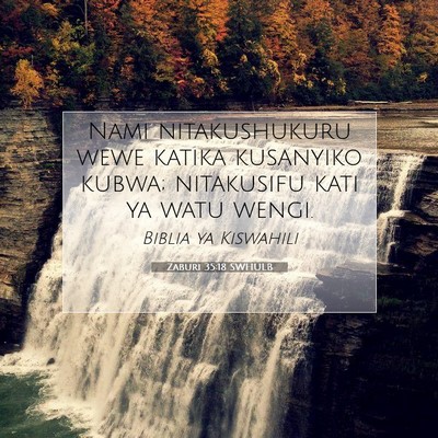 Picture 07 - Zaburi 35:18 SWHULB - Nami nitakushukuru wewe katika kusanyiko kubwa; - Bible Verse Picture