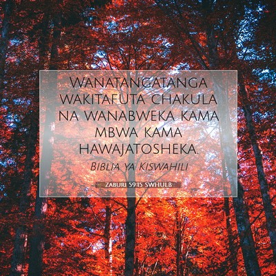 Picture 07 - Zaburi 59:15 SWHULB - Wanatangatanga wakitafuta chakula na wanabweka - Bible Verse Picture