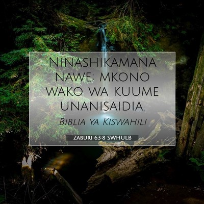 Picture 07 - Zaburi 63:8 SWHULB - Ninashikamana nawe; mkono wako wa kuume - Bible Verse Picture