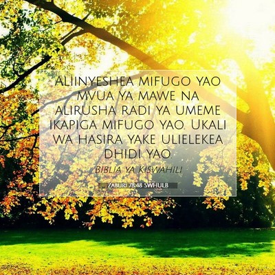 Picture 07 - Zaburi 78:48 SWHULB - Aliinyeshea mifugo yao mvua ya mawe na alirusha - Bible Verse Picture