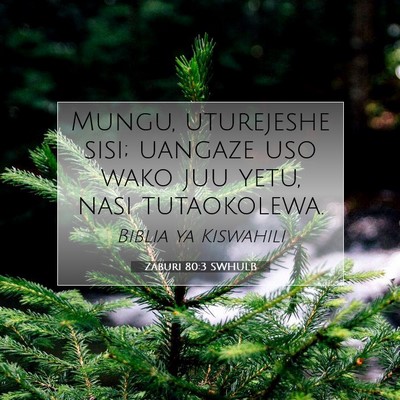 Picture 07 - Zaburi 80:3 SWHULB - Mungu, uturejeshe sisi; uangaze uso wako juu - Bible Verse Picture